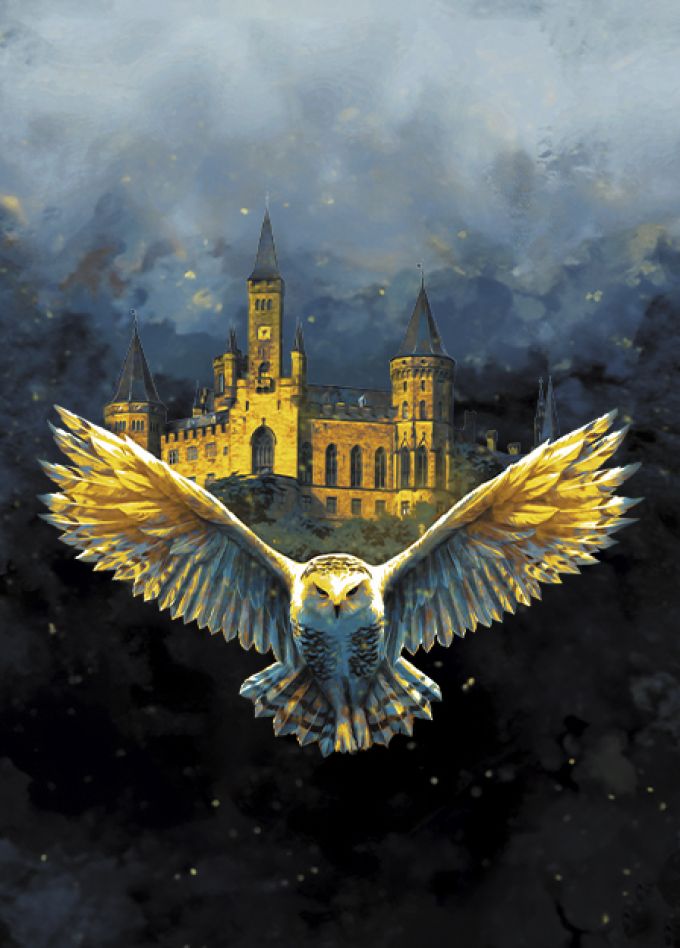 Гарри Поттер. Оркестр Sonorus