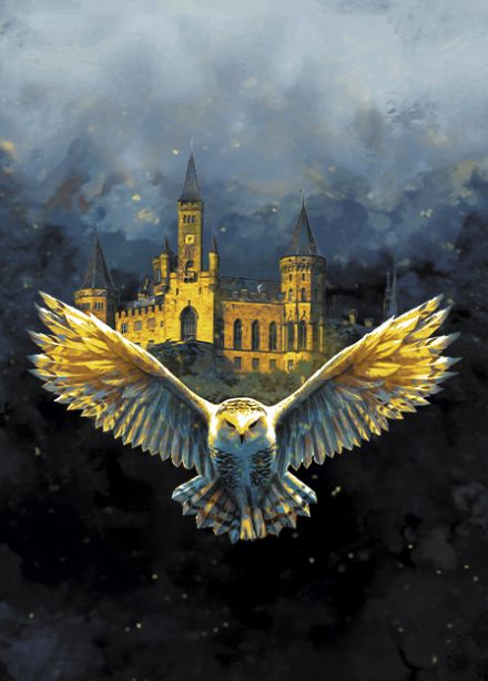 Гарри Поттер. Оркестр Sonorus